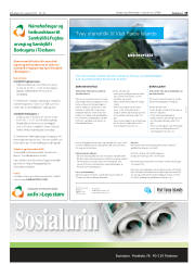 Síða 19