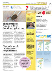Síða 5