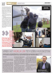 Síða 10