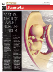 Síða 12