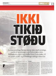 Síða 13