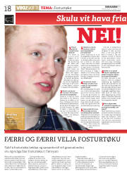 Síða 18