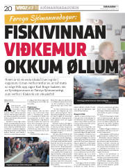Síða 20