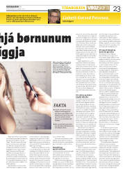 Síða 23