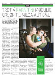 Síða 6