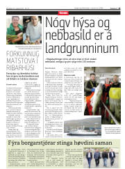 Síða 15