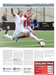 Síða 17