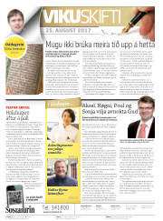 Síða 2