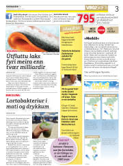 Síða 3