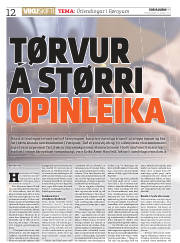 Síða 12