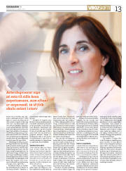 Síða 13