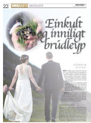 Síða 22