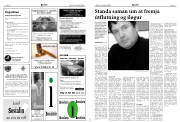Síða 17