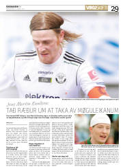 Síða 29