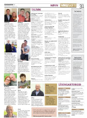 Síða 31