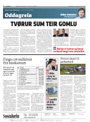 Síða 2