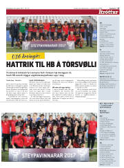 Síða 17