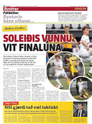 Síða 20