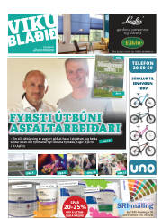 Síða 25