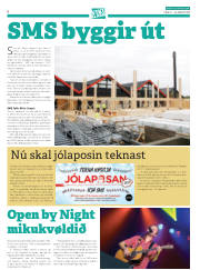 Síða 30