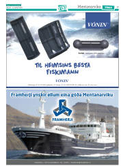Síða 41