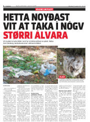 Síða 6