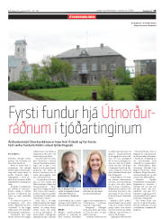 Síða 19