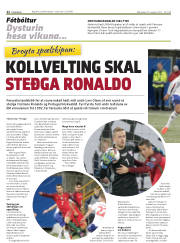 Síða 22
