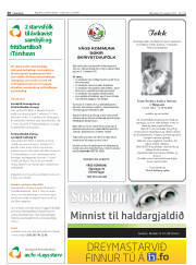 Síða 30