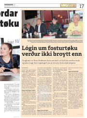 Síða 17