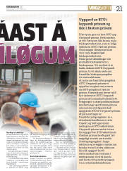 Síða 21