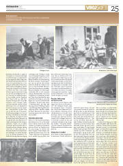 Síða 25