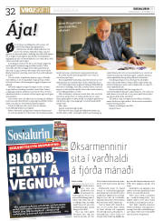 Síða 32