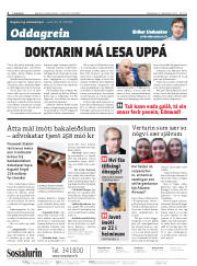 Síða 2