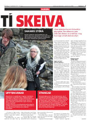 Síða 5