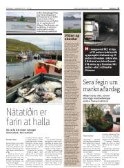 Síða 11