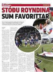 Síða 20