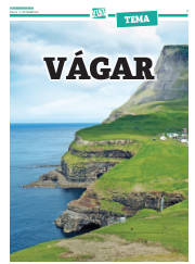Síða 31