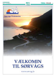 Síða 33