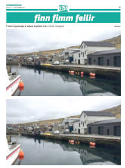 Síða 43
