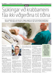 Síða 8
