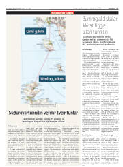 Síða 11