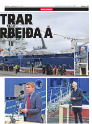 Síða 13