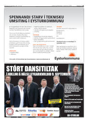 Síða 21