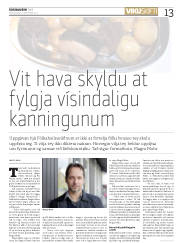 Síða 13