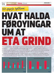 Síða 14