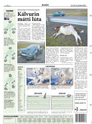 Síða 17