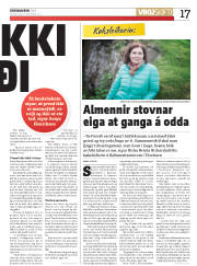 Síða 17