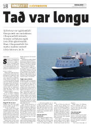 Síða 18