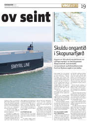 Síða 19